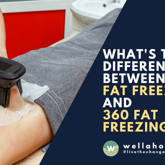 Wellaholic Blog - What is the Difference Between Fat Freezing and 360 Fat Freezing
